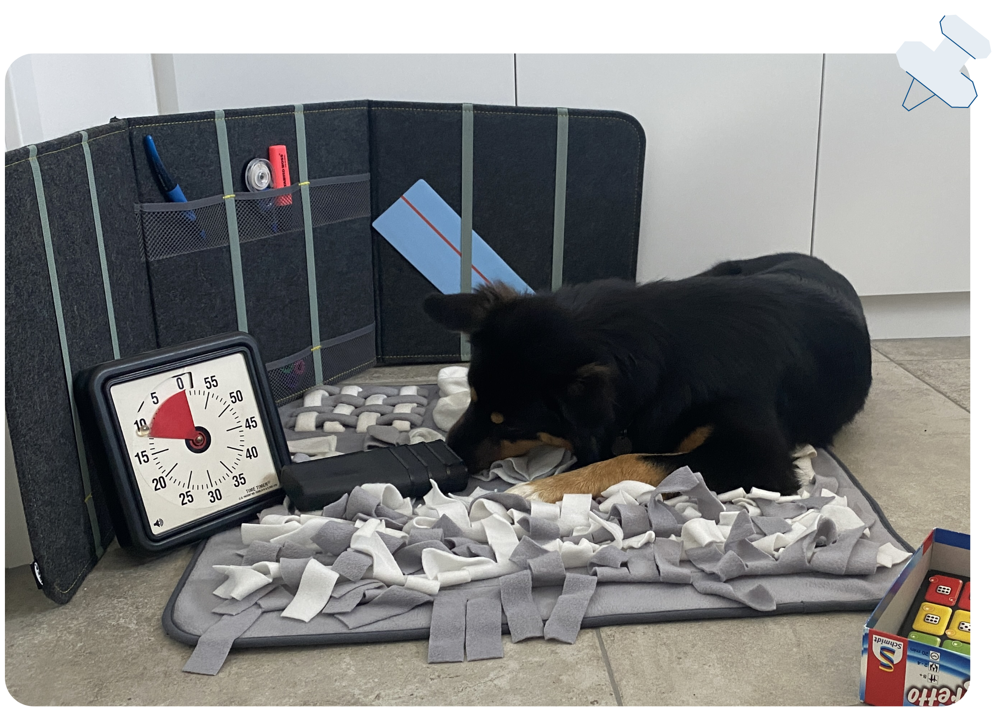 Lerntherapiehund Vroni in der Schule